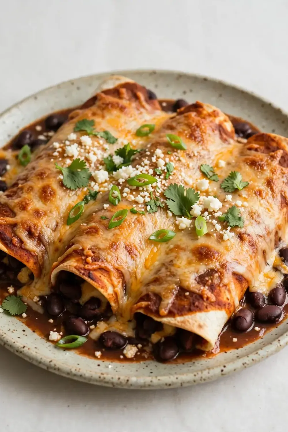 Black Bean and Cheese Enchiladas