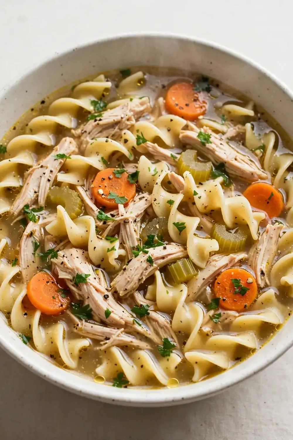 Quick Chicken Noodle Soup