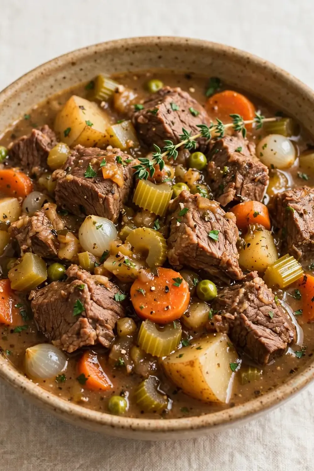 Slow Cooker Beef and Vegetable Stew