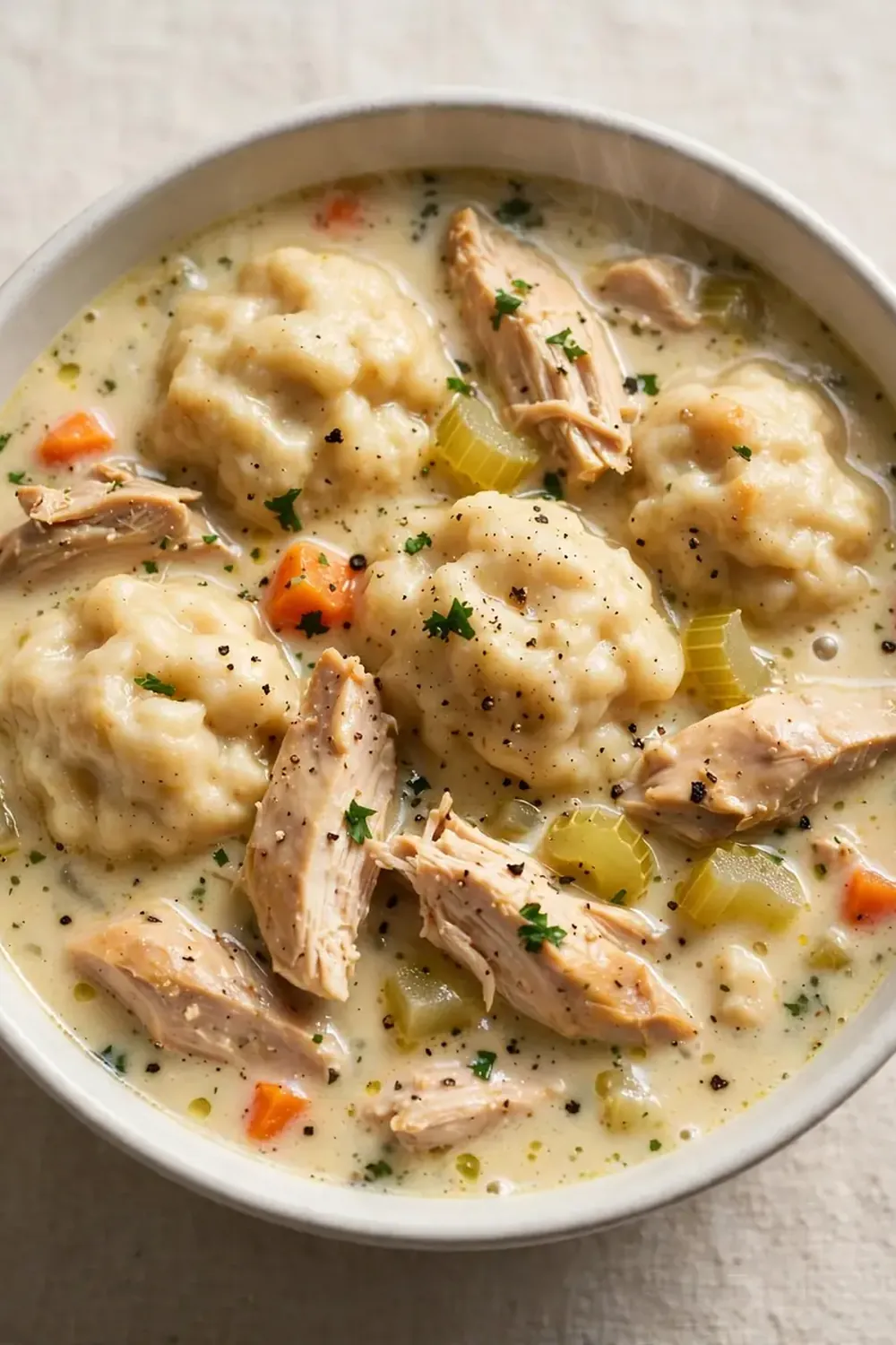 quick chicken and dumpling soup